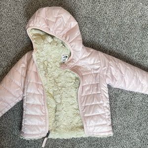 Toddler north face